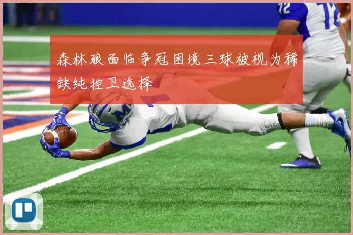 森林狼面临争冠困境三球被视为稀缺纯控卫选择